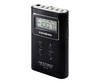 SANGEAN DT-120 NEGRO