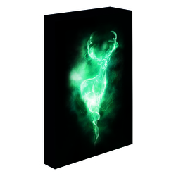 Lienzo con Iluminacion Harry Potter Patronus 30X40