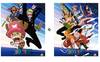 Cuadro 3D Straw Pirates Assault One Piece