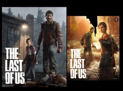 Cuadro 3D The Last Of Us