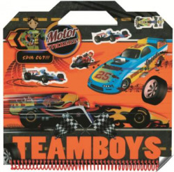Teamboys stickers-motor