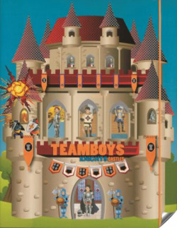 Teamboys knights castles