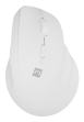 Raton Natec Crake 2 Inalambrico Vertical Bt 5.2 + 2.4Ghz 240