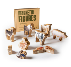 Figuras magnéticas