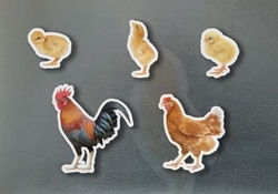 Magnéticos familia gallinas