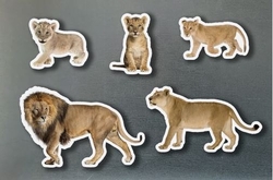 Magnéticos familias leones