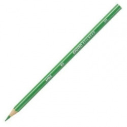 BOX OF 12 COLORED PENCILS GIOTTO STILNOVO LIGHT GREEN