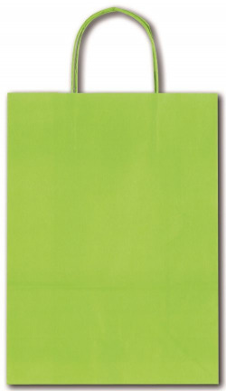 PAQ/25 BOLSAS KRAFT ALLEGRA COLOR VERD LIMA 41X12X36CM