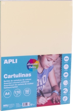 PAQ/50 CARTOLINA APLI A4 170G. FORNECIDO PLASTEL
