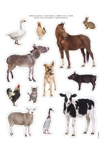 PACK OF 2 SHEETS OF REMOVABLE STICKERS FARM ANIMALS