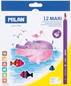 ESTOXO 12 LAPICES DE CORES MAXI TRIANGULAR