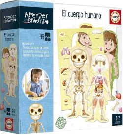 THE HUMAN BODY