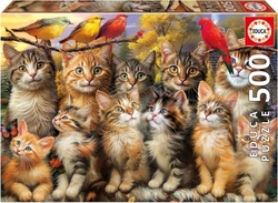 PUZLE 500 PECES GATITOS I PAJAROS