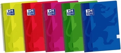PACK/5 BLOC 4º 80H 90G. 1 HORIZONTAL C/M COULEURS ASSORTIMENTS