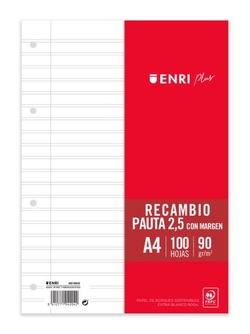 RECANVI A4 100H 4 TALADROS 90G PAUTA 2,5 C/M ENRI
