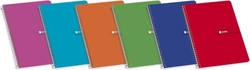 PACK/10 CADERNO ESPIRAL 4º 80H 60G. CUAD.4X4 CAPA BLANDA