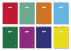 PACK OF 10 NOTEPADS 16TH HORIZONTAL 80PG 60G GRAPH 4X4 W/M SOFT COVER PASCA