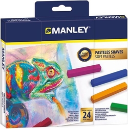 CASE OF 24 SOFT PASTEL BARS ASSORTED COLORS