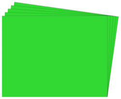 PACK/25 FIXO CARDBOARD 50X65 180G. CHRISTMAS GREEN