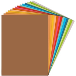 PAQ/25 CARTOLINA FIXO 50X65 180G. CHOCOLATE