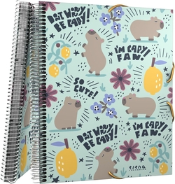 CAPA MICAS MAXIPLAS PP 30F EC CHEERFUL 25,5X31X1,6CM