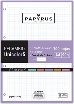 PIÈCE DE RECHANGE UNI5 A4 100H 90G 4 TALADROS CUADRICULA 5X5 PASTEL