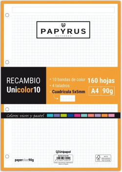 PIÈCE DE RECHANGE UNI10 A4 160H 90G 4 TALADROS CUADRICULA 5X5