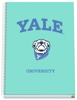 CADERNO A4 CAPA EXTRADURA CADERNO 4X4 100H YALE DOG