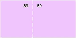 PAQ/20 TALONARIO CAIXA T29 10,7X5CN COR ROSA