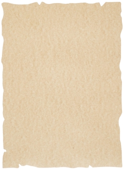 PAQ/25 PAPER PERGAMINO A4 150G. COLOR PARCH. OCRE