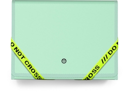 DOSSIER FUELLE Fº PP NOT CROSS 13 DEPARTAMENTOS RIBET MINT