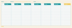 BARI PLANNER 290X114 VWKLY INTL