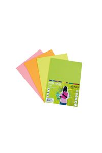 Paquete a4 250h 80g 5 colores fluor surtidos fabrisa