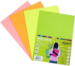 PACK A4 100H 80G 5 ASSORTED FLUORINE COLORS FABRISA