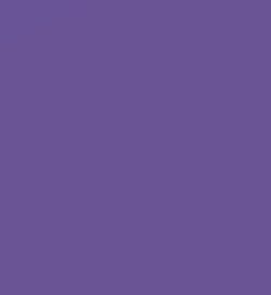BLISTER 10 LAMINAS GOMA EVA COULEUR VIOLETTE 20X30CM FAIBO