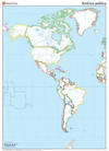 PAQ/50 MAPAS AMÈRICA POLÍTICO MUDOS EN COLOR