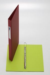 CARPETA Fº 4 ANILLAS 40 MM PVC ROSA FUN COLOR