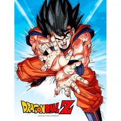 Poster Cristal Goku Kame Dragon Ball Z