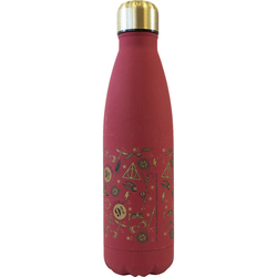 Botella Acero Inoxidable Hogwars Harry Potter 500Ml