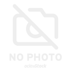 Taza Sakamoto Days 350Ml