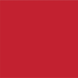 BOBINA PAPEL REGALO FANTASIA T/ANO VERMELHO 62CMX4KG