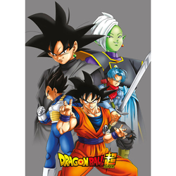 Manta Polar Dragon Ball Super 5 Unidades
