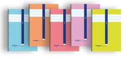PACK/10 CADERNO ESPIRAL 4º 40H 70G 3MM QUADRICULADO ERIGGAN