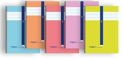PACK/10 CADERNO ESPIRAL 4º 40H 70G 4MM QUADRICULADO ERIGGAN