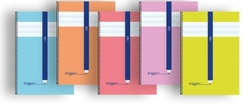 PAQ/10 CADERNO ESPIRAL Fº 80H 70G 3MM CUADROVIA ERIGGAN