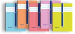 PAQ/10 CADERNO ESPIRAL Fº 80H 70G 4MM CUADROVIA ERIGGAN