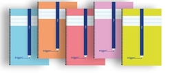 PACK/5 SPIRAL NOTEBOOK Fº 80H 90G 3MM CADROVIA PP ERIGGAN