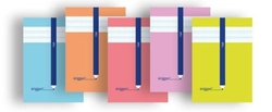 PACK/10 CADERNO GRAPADA A4 50H 70G QUADRICULADO 3MM ERIGGAN