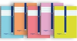 PACK/5 SPIRAL NOTEBOOK Fº 80H 90G 5MM QUADROVIA PP ERIGGAN