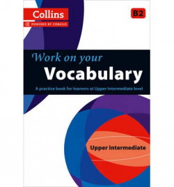 Vocabulary B2. Work on your